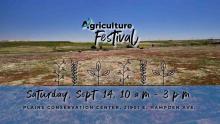 Agricultural Festival logo and graphics for event